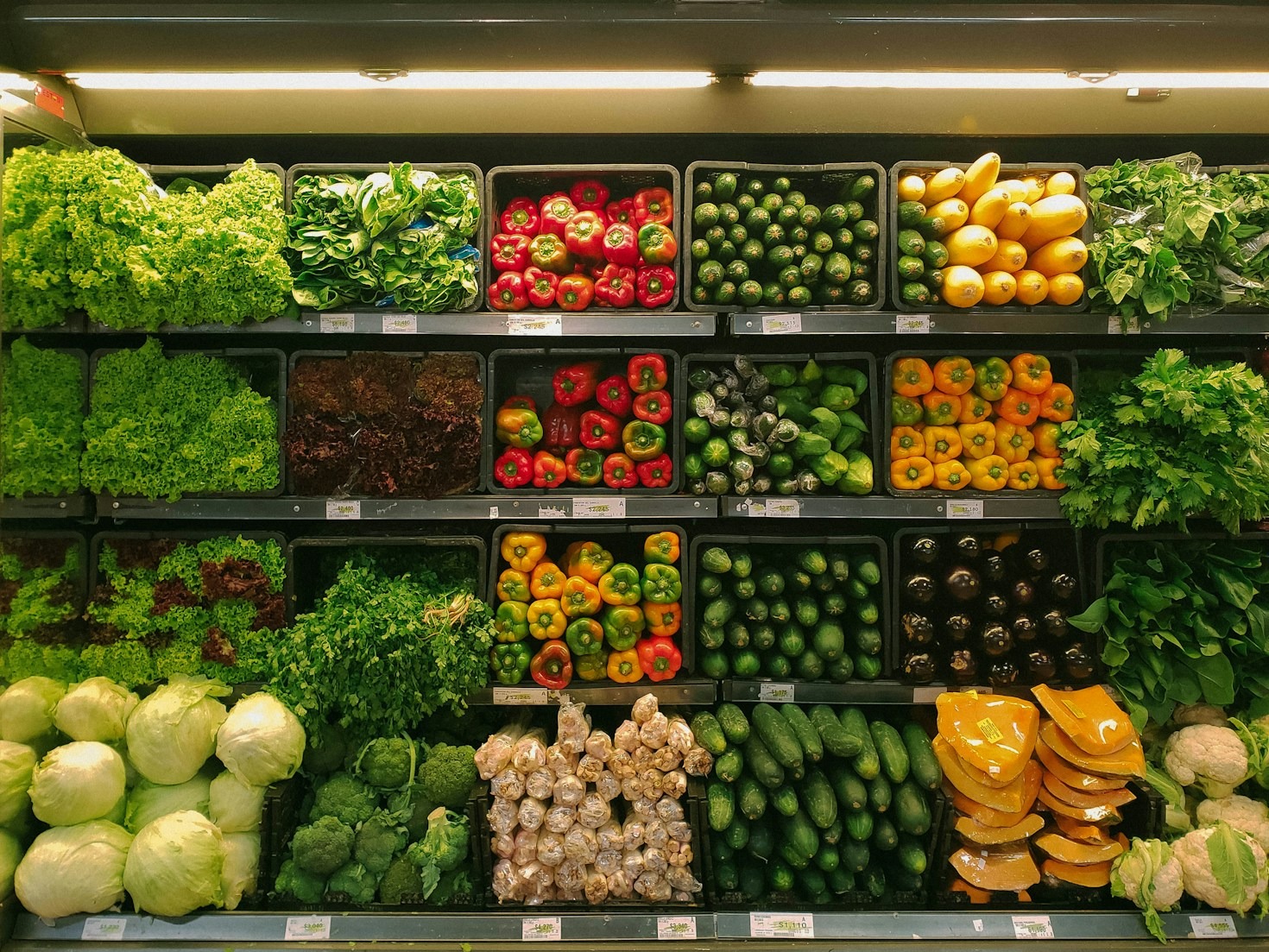 Best Practices For Importing Fresh Produce